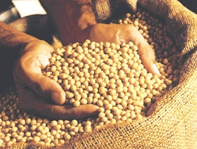 A soja foi a principal responsável pelo crescimento da balança