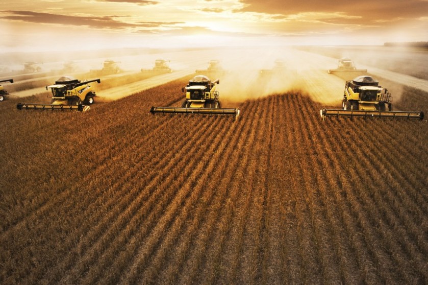 Produção do Oeste da Bahia cresce 28% e bate novo recorde. | Jornal O  Expresso