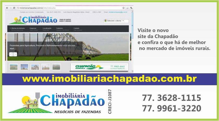 chapadão banner e anúncio