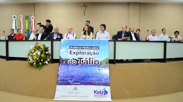 Audiência pública: figurinhas carimbadas que nada garantem.