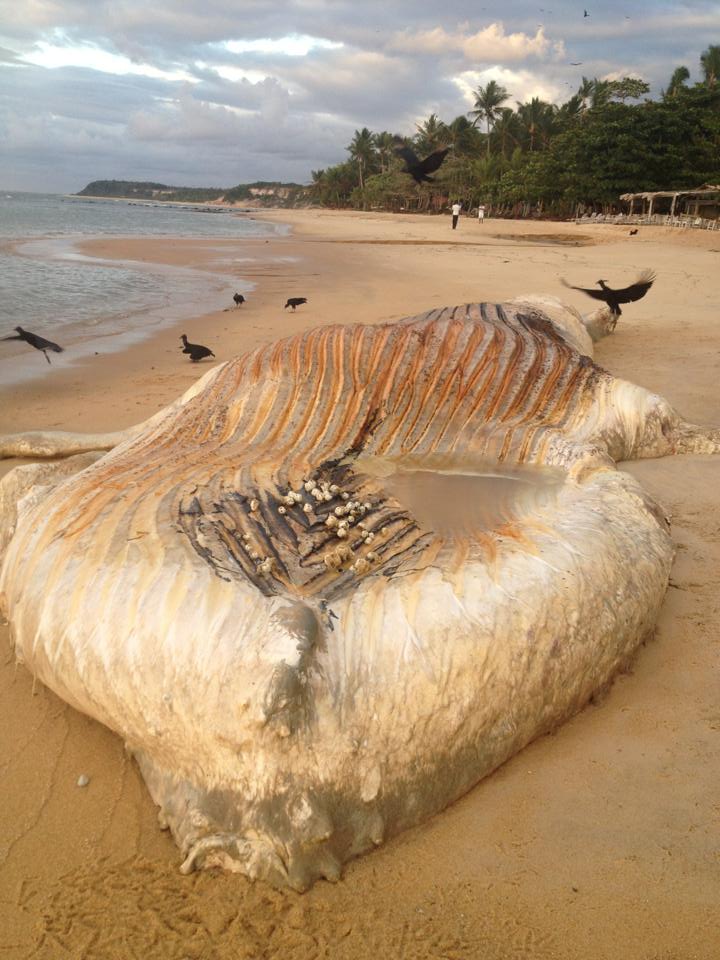 Agência Namidia Comunicação (2)
