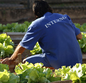 presos_trabalhando__0f2b7dddb5