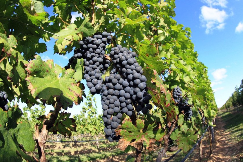 ????????????????????????????????????????????????????????????????????????????????????????????????????????????????????????????????????????????????????????????????????????????????????????????????????????????????????????????????????????????????????????????????