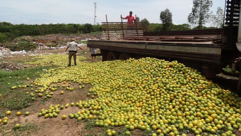 Apreensão Citros Riachão das Neves - Oeste (3)