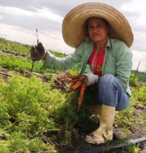 Jusmari: cada vez mais próxima de sua horta.