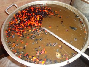 Algumas espécies com casca dura necessitam passar por um choque térmico, a quebra de dormência, para acelerar o processo de germinação.