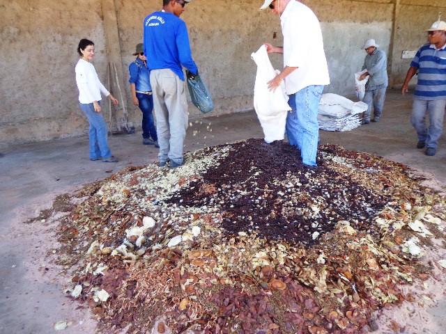 Mistura de sementes e areia (Muvuca). Ao total foram utilizados 1.250 quilos de sementes, produto que foi revertido em renda para pessoas de baixa renda.