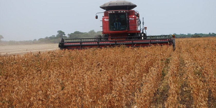 A colheita da soja de ciclo curto segue com boa produtividade