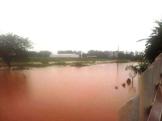 Foto de Rodrigo Roth