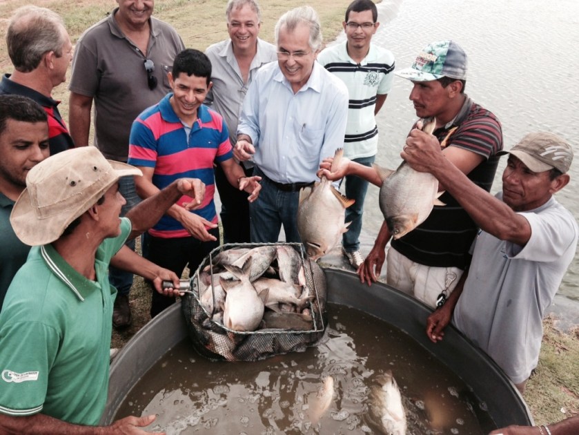 As espécies produzidas nos tanques do projeto, são de diferentes bacias hidrográficas, justamente para avaliar a adaptação com um bom crescimento e reprodução.