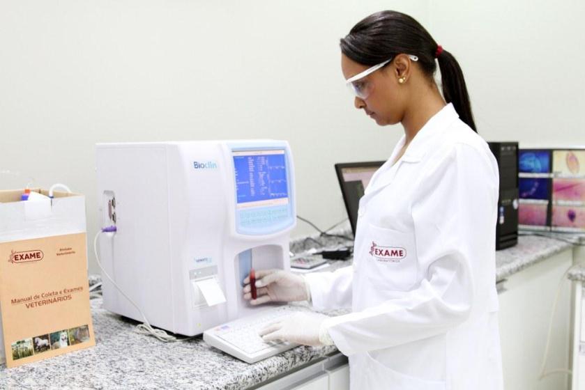 exame vet