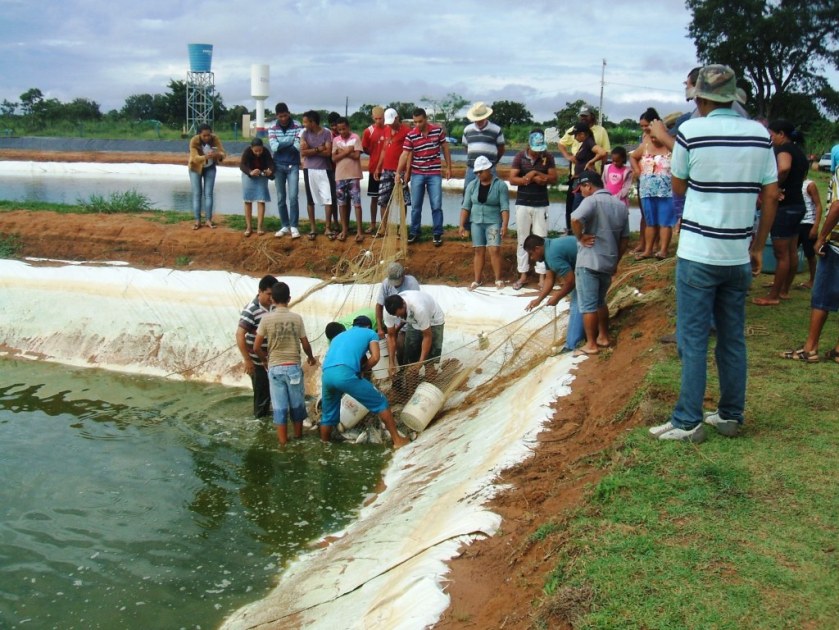 Os piscicultores envolvidos no projeto, estão unidos, os positivos resultados são incentivos para outros produtores rurais.