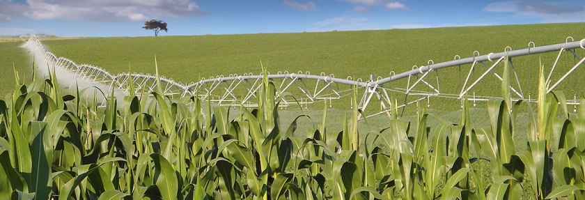 Irrigação: dinheiro subsidiado. 