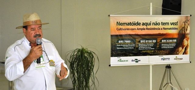 Lançamento novas cultivares de soja2