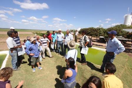 Os tanques do projeto piloto já produziram mais de três toneladas de peixe. Durante a Feira Bahia Farm Show, os pisicultores participantes do projeto receberam capacitações.