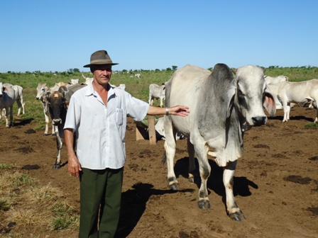 Pecuarista Noel Santiago de Souza, Correntina, BA
