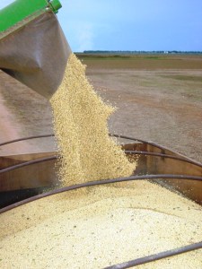 ???????????????????????????????