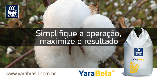 banner_algodao_600x300px