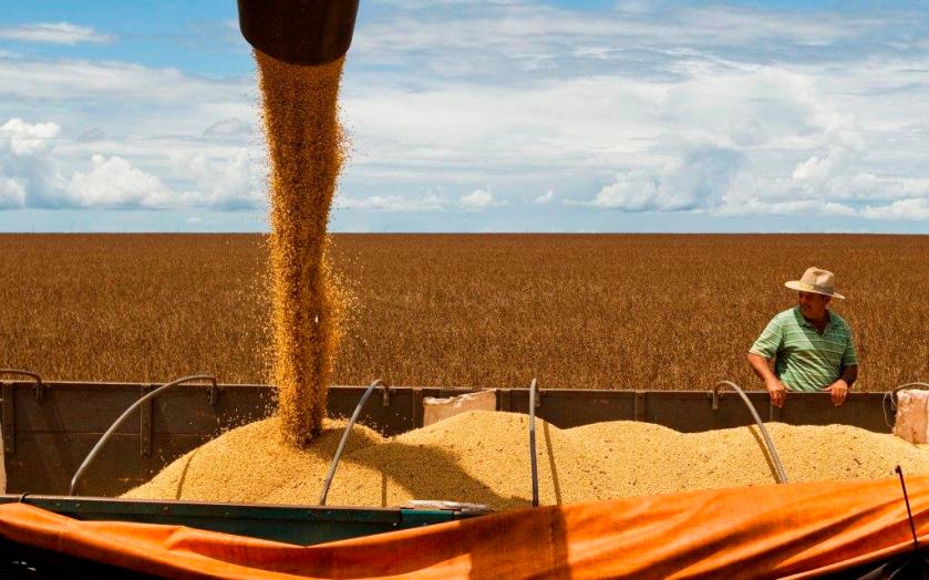 ??????????????????????