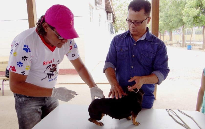 A vacinação antirrábica para cães e gatos na sede de Luís Eduardo Magalhães acontecerá neste sábado, 6, das 8h as 17h.