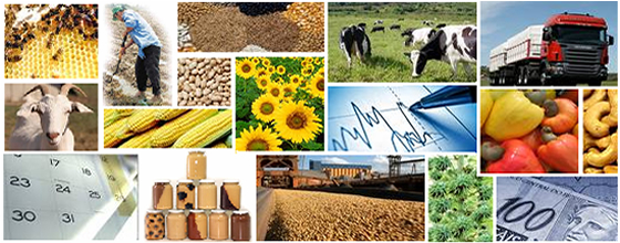 agronegocio