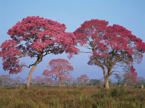 site_noticias_689694172