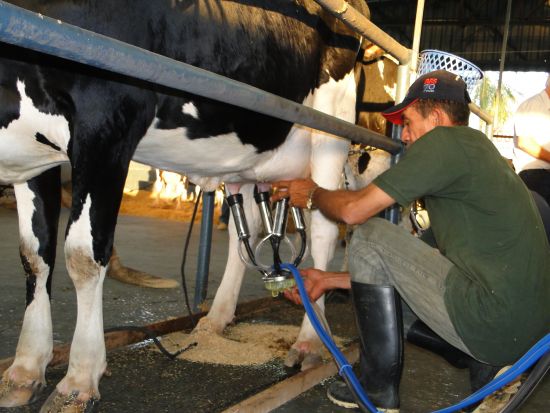 leiteiro-torneio-08-02