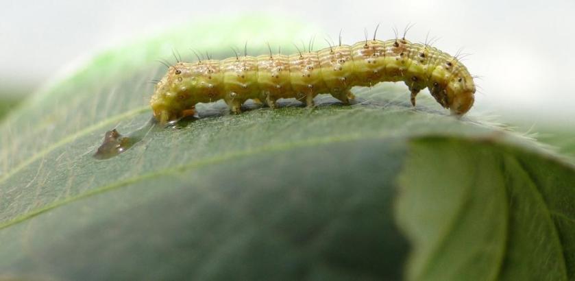 ???????????????????????????????