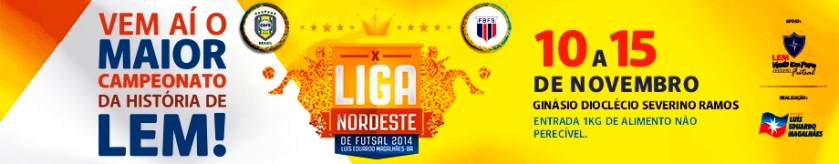 Liga Nordeste novo