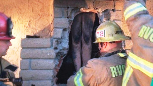 noticia_256833_img1_3