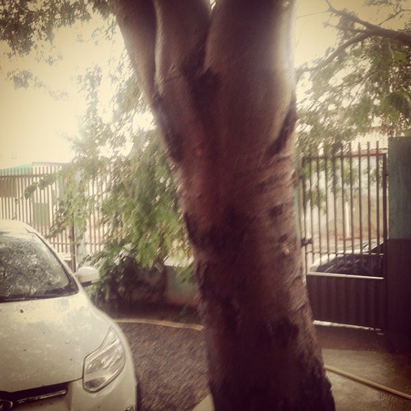 10984284_1024524867561615_1779779954849839510_n