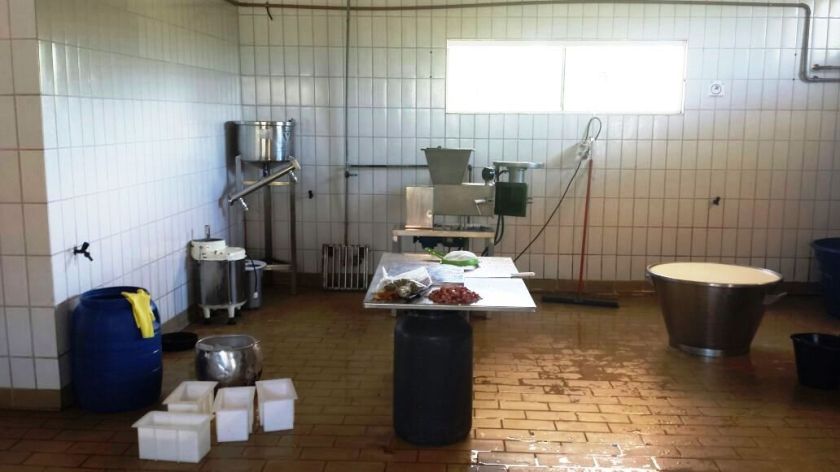 Laticínio Clandestino