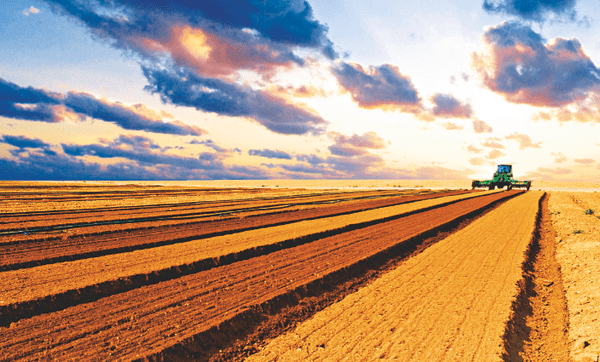 img-340109-safra-de-recordes