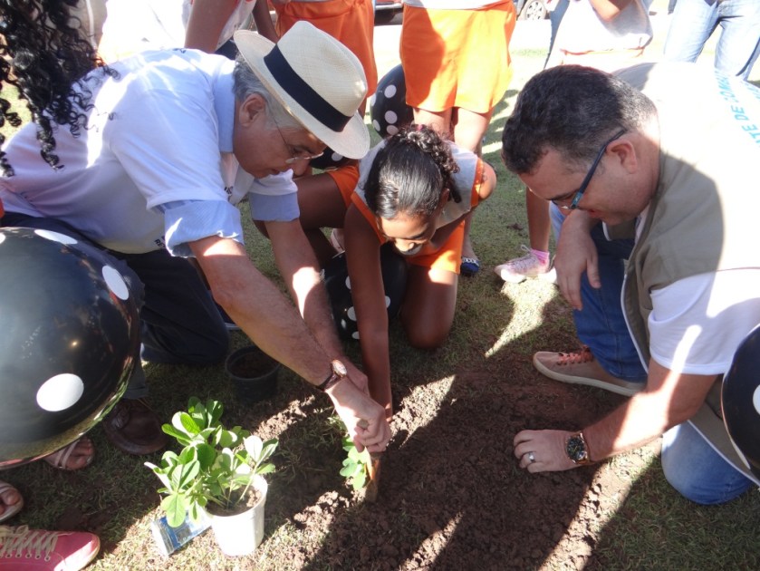 Na Praça da Bíblia, mudas de crotalária, que atrai a libélula principal predador do aedes aegypti foram plantadas