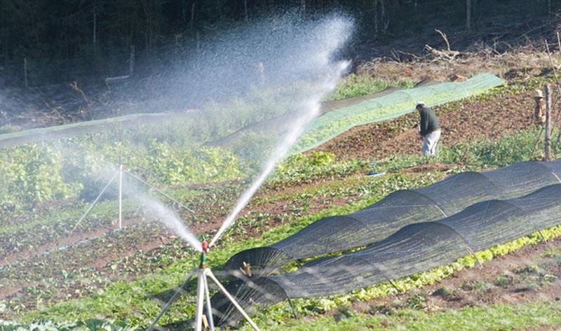 seminario_perimetros_irrigados_ba