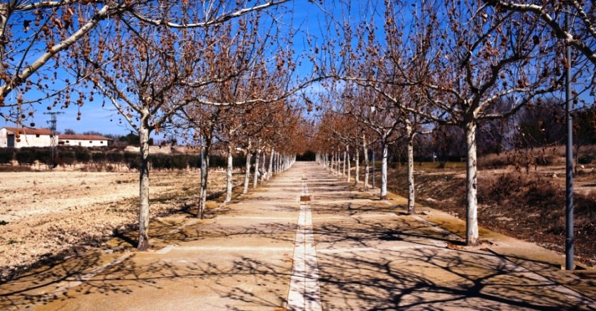 Região árida do Sul da Espanha sofre mais com o calor.