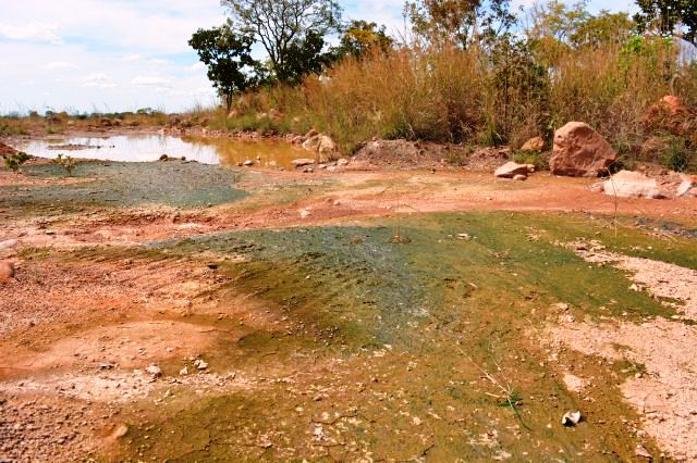 tvwebbarreiras 2015 (40)