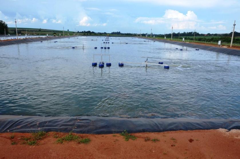 Tratamento de esgotos: fonte de água e nutrientes