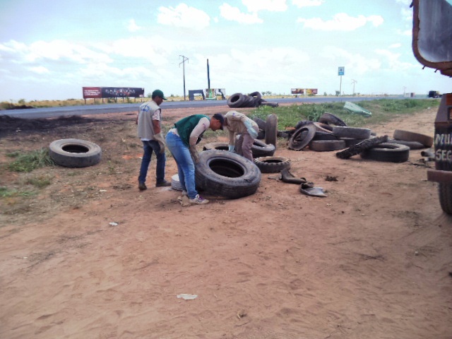 Foram recolhidos cerca de 65 pneus inservíveis abandonados às margens da BR-242