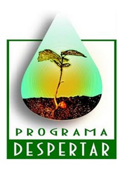 Logo Programa Despertar