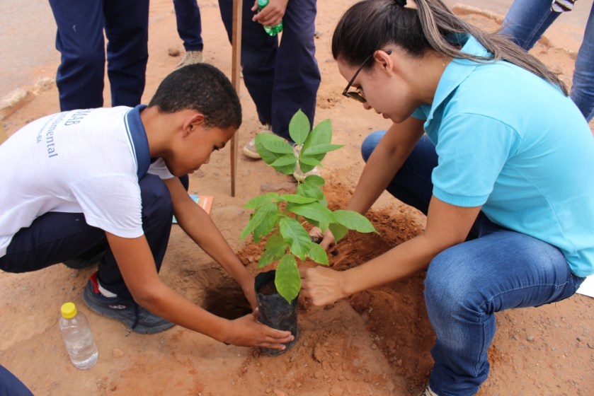 O mutirão de arborização foi realizado com a ajuda dos alunos do 5º ano matutino da Escola Municipal Ângelo Bosa