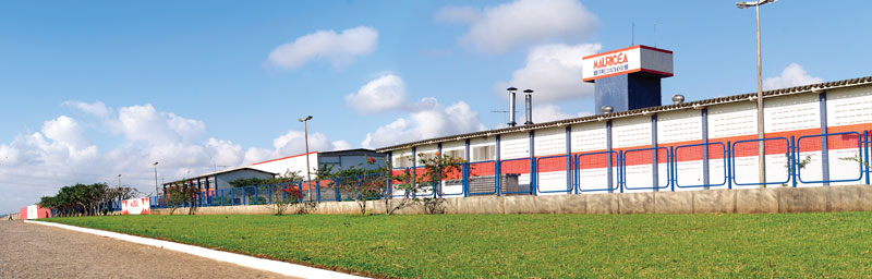 O Frigorífico Mauriceia, o maior gerador de empregos do Distrito Industrial. Abaixo a inauguração.