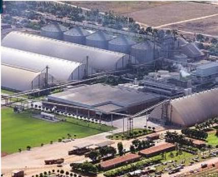 Bunge, em Luís Eduardo Magalhães: capacidade de esmagar até 1,3 milhão de toneladas