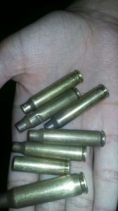 cápsulas recolhidas do tiroteio