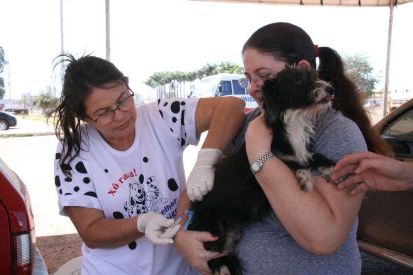 Depois do dia D de vacinação, campanha continua até 29 de abril no Núcleo de Endemias e ONG Vida Bixo