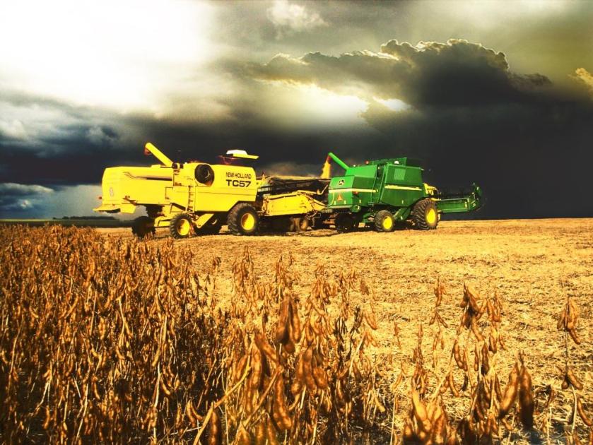 Fonte da imagem: talisma.agr.br