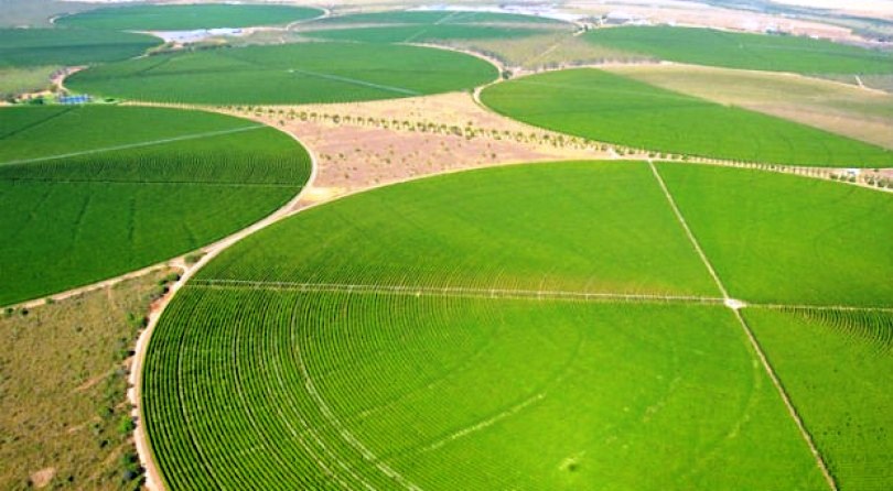 Matopiba deve ser a fronteira agrícola com maior crescimento.
