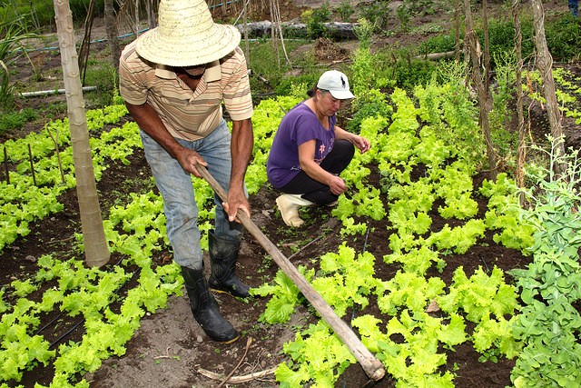 perímetros irrigados