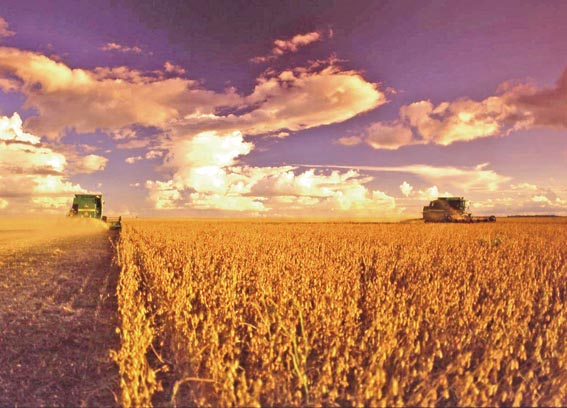 colheitadeira-colheita-de-soja-23-12-05