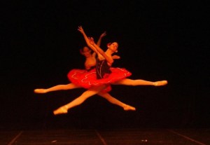 Lei Rouanet deveria incentivar apenas as artes